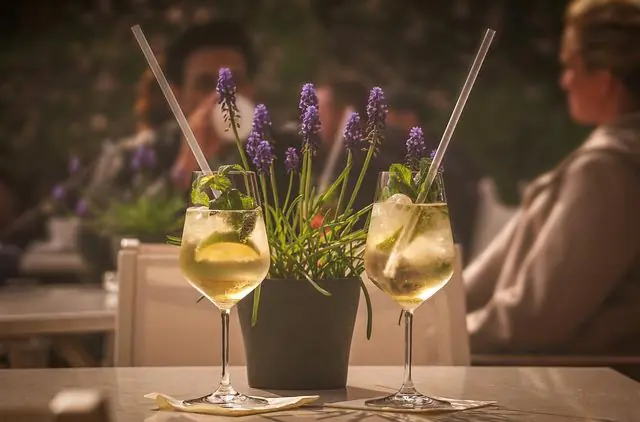 Sommerliche Cocktails mit Prosecco oder Sekt