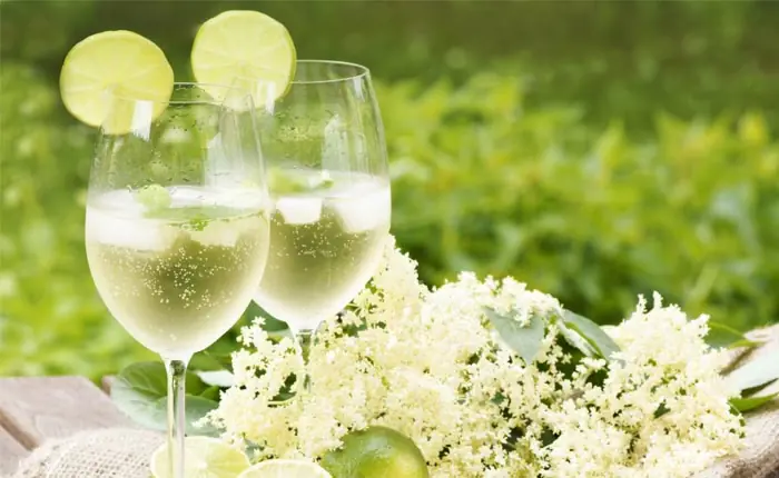 Hugo Cocktails: Rezepte für den Sommer-Trend