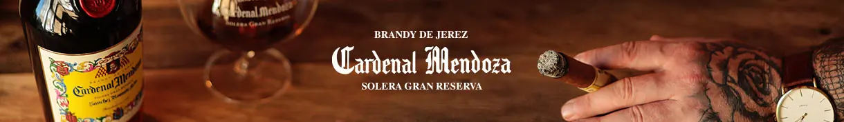 Cardenal Mendoza