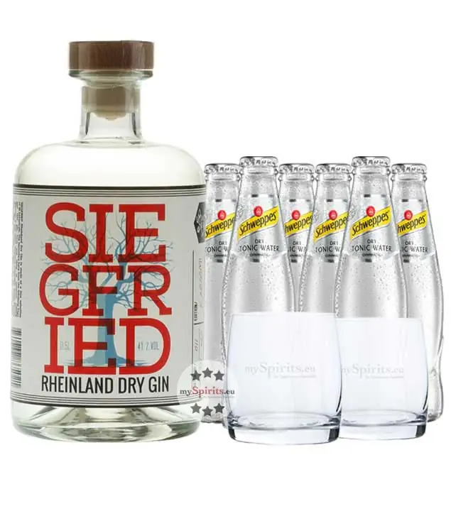 Siegfried Rheinland Dry Gin (41 % vol. / 0,5 Liter) & 6 x Schweppes Dry Tonic Water (0,2 Liter) inkl. 0,60 € Pfand + 2 Tumbler Gläser
