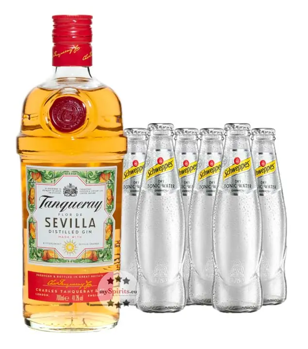 Praktisch als Gin Tonic Set: der zitrus-fruchtige Tanqueray Flor de Sevilla Gin & das trockene, weniger süße Schweppes Dry Tonic als Set bei mySpirits!