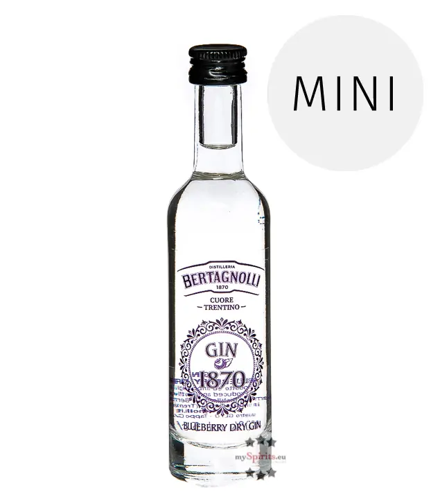 Bertagnolli Gin 1870 Blueberry Dry Gin Mini / 40 % vol / 0,05 Liter-Flasche 