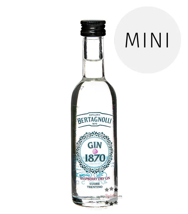 Bertagnolli Gin 1870 Raspberry Dry Gin Mini / 40 % vol / 0,05 Liter-Flasche