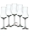 5 x mySpirits Schnapskelch / je Stück ca. 55 ml / H: ca. 16 cm