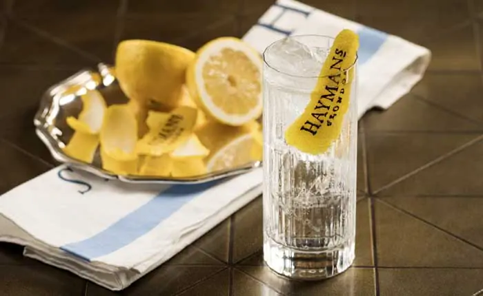 Haymans Gin Tonic mit Zitronenzeste Haymans Gin Tonic mit Zitronenzeste