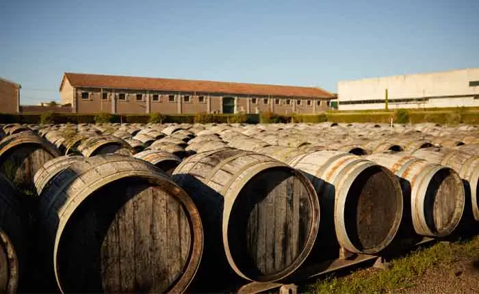 In Eichenholzfässern reift der Vermouth unter freiem Himmel für nochmal mindestens 12 Monate In Eichenholzfässern reift der Vermouth unter freiem Himmel für nochmal mindestens 12 Monate