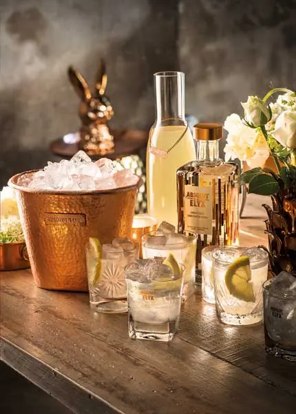 Absolut Elyx Cocktail probieren Absolut Elyx Cocktail probieren