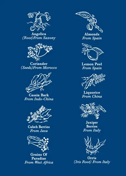 Botanicals im Bombay Gin Botanicals im Bombay Gin