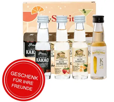 Prinz Miniaturen Probier-Paket 10 Schnäpse und Liköre Prinz Miniaturen Probier-Paket 10 Schnäpse und Liköre