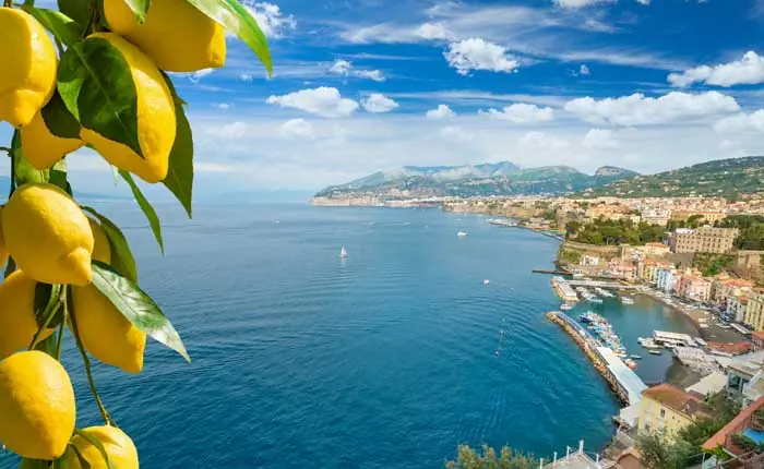 Zitronenlikör aus Italien Zitronenlikör aus Italien