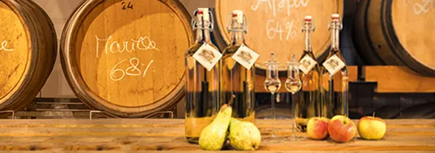Prinz Alte Sorten – traditionsreicher Obstschnaps aus Österreich Prinz Alte Sorten – Milder Genuss der Spitzenklasse