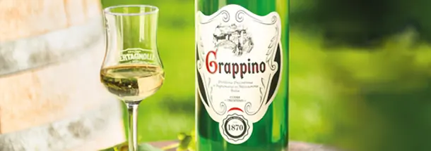 Grappa online kaufen – italienische Destillationskunst Grappa online kaufen – italienische Grappe aus renommierten Brennereien