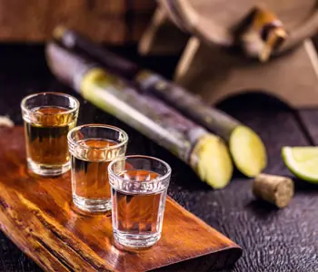 Ginverkostung online buchen - Tasting zu Hause genießen! Ginverkostung online buchen - Tasting zu Hause genießen!
