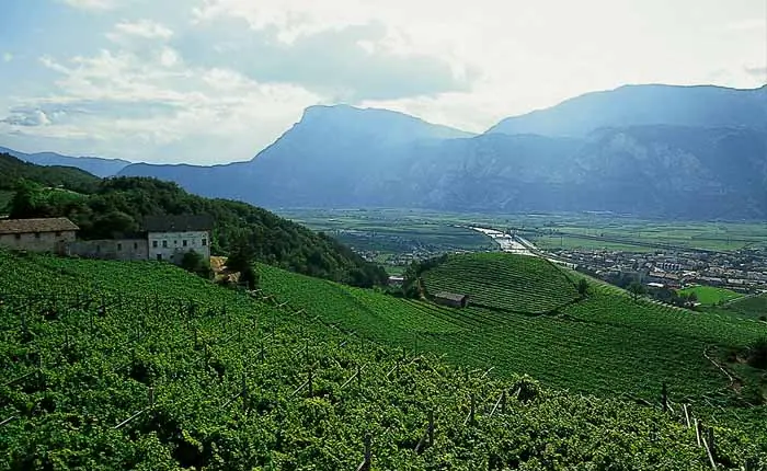 Grappa aus Italien - ein Gaumenschmaus Grappa aus Italien - ein Gaumenschmaus
