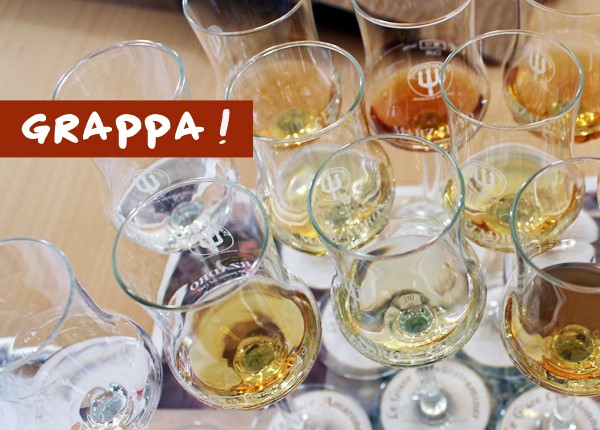 Welches Glas für Grappa?