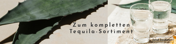 Zum kompletten Tequila Sortiment Tequila bei mySpirits.eu entdecken!