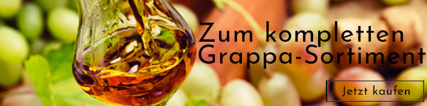 Großes Auswahl verschiedener Grappa Große Auswahl an verschiedenen Grappe entdecken!