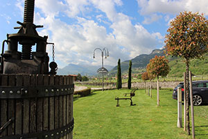Zu Besuch bei Marzadro Grappa im Trentino