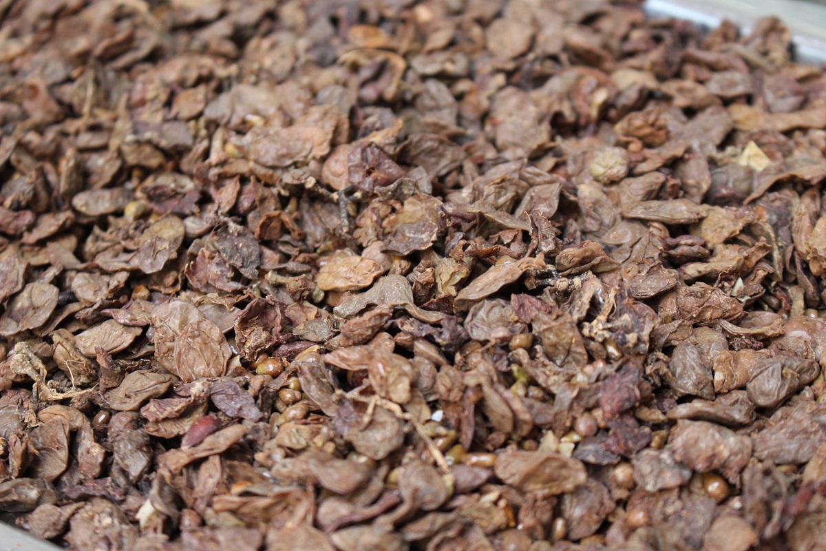 Italienischer Grappa erklärt