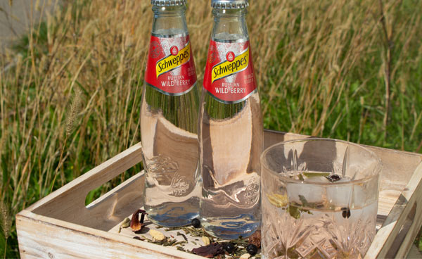 Gin Wild Berry & Co. - Rezepte f&uuml;r Gin mit Limonaden