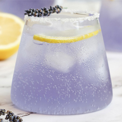 Lavendel Spritz Lavendel Spritz